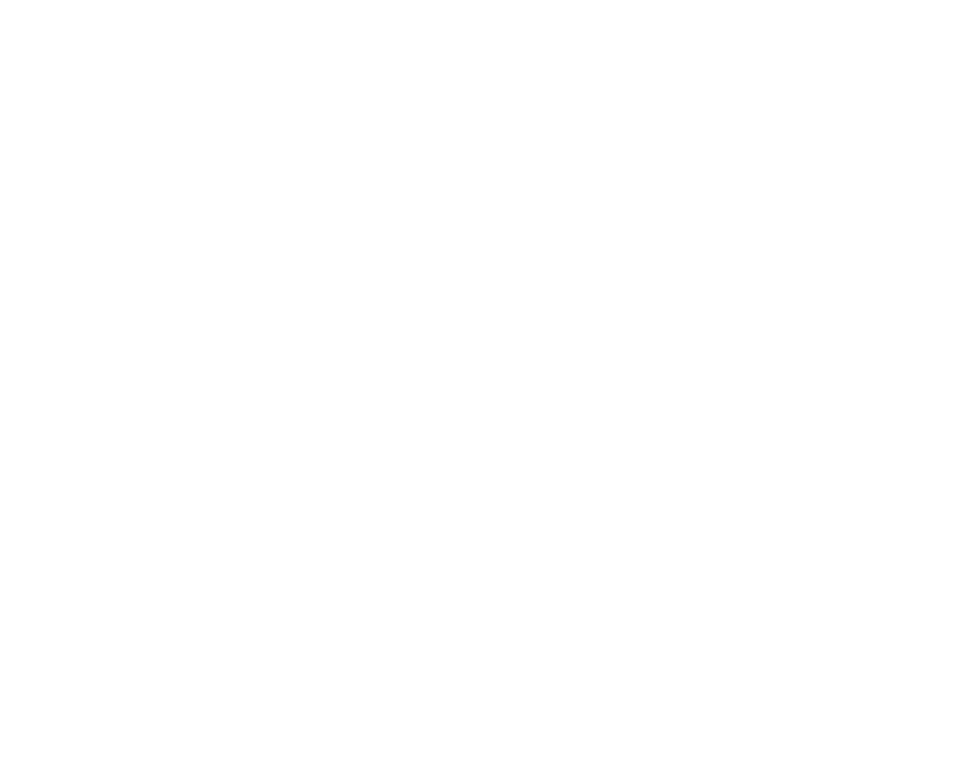 Alpha Vision Consulting